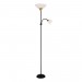 Торшер Arte Lamp Duetto A9569PN-2BK