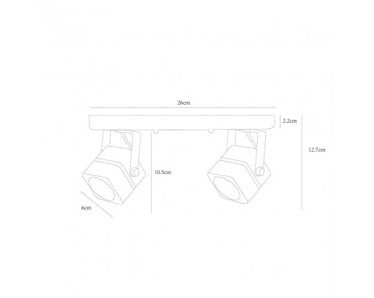 Потолочный светильник Arte Lamp A1315PL-2BK