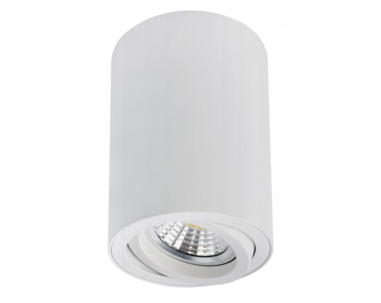 Точечный накладной светильник Arte Lamp SENTRY A1566PL-1WH