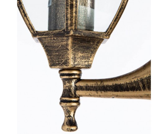 Уличный настенный светильник Arte Lamp Pegasus A3151AL-1BN