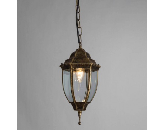 Уличный подвесной светильник Arte Lamp Pegasus A3151SO-1BN