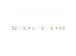 Светодиодная лента 24V 4,8W/m 6500К 5м Arte Lamp TAPE A2406008-03-6K