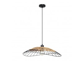 Подвесной светильник Arte Lamp WOODSTOCK A7061SP-1BK