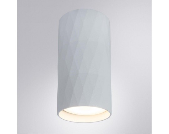Потолочный светильник Arte Lamp Fang A5557PL-1WH