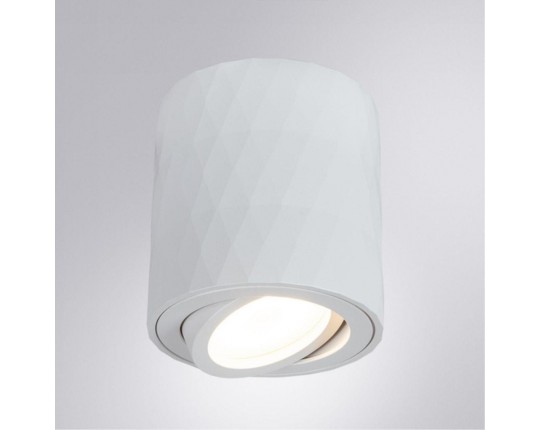 Потолочный светильник Arte Lamp Fang A5559PL-1WH
