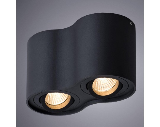 Потолочный светильник Arte Lamp Falcon A5645PL-2BK