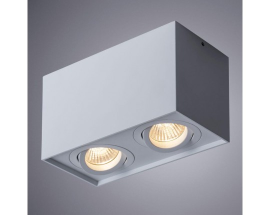 Потолочный светильник Arte Lamp Factor A5544PL-2WH