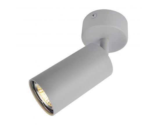 Спот Arte Lamp A3216PL-1GY