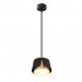 Подвесной светильник Arte Lamp Amaks A8028SP-1BK