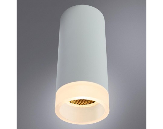Потолочный светильник Arte Lamp Ogma A5556PL-1WH