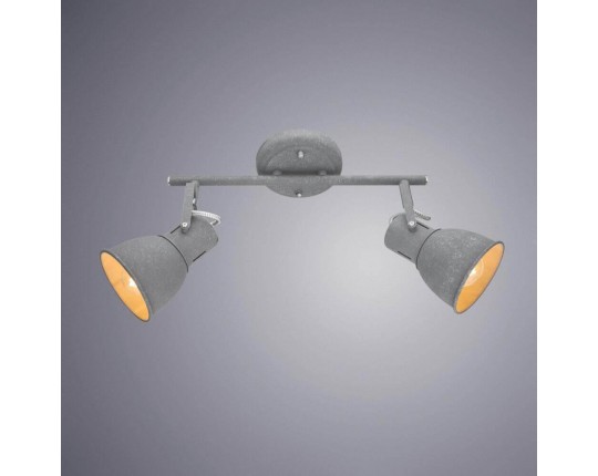 Спот Arte Lamp A1677PL-2GY