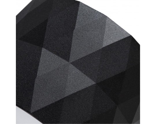 Потолочный светильник Arte Lamp Fang A5552PL-1BK