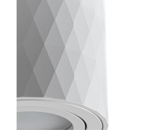 Потолочный светильник Arte Lamp Fang A5559PL-1WH