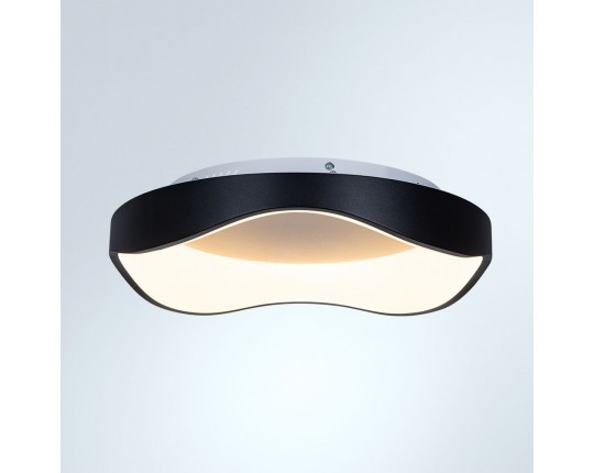 Потолочный светодиодный светильник Arte Lamp Ankaa A3085PL-48BK