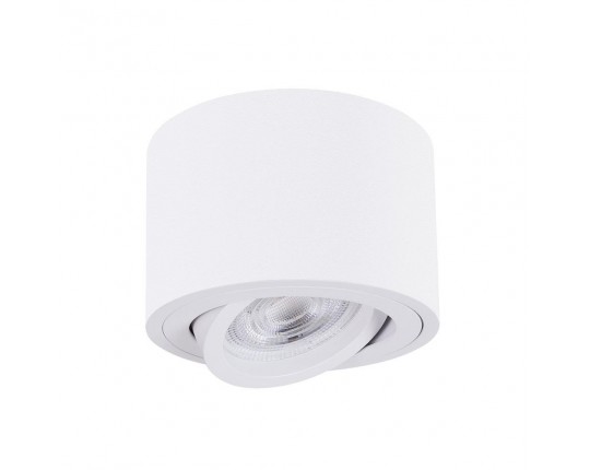 Точечный накладной светильник Arte Lamp UNITO A2260PL-1WH