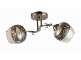 Потолочная люстра A021/2