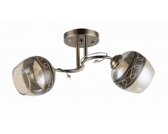 Потолочная люстра A021/2