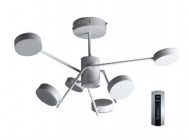 Потолочная люстра N4182/6