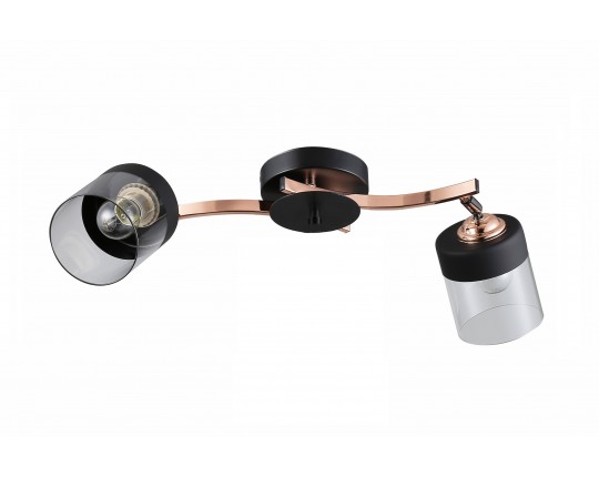 Потолочная люстра A005/2 FG