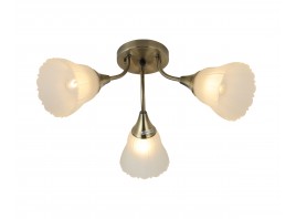 Потолочная люстра A100/3