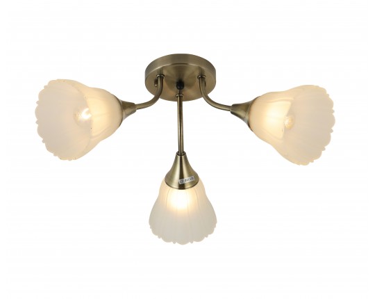 Потолочная люстра A100/3