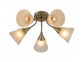 Потолочная люстра A100/5