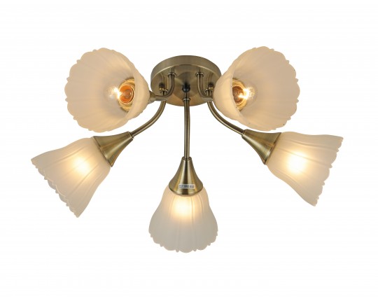 Потолочная люстра A100/5