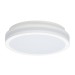 Светильник накладной Citilux LUNS CL711010V