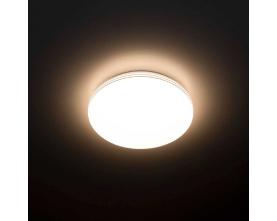 Потолочный светодиодный светильник Citilux Симпла CL71424SV