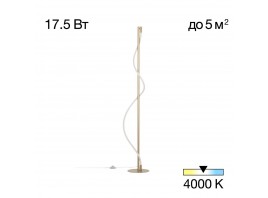 Торшер Citilux Eva CL210912