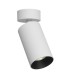 Спот Citilux Axel CL512210