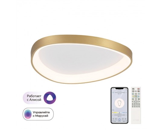 Потолочный светодиодный светильник Citilux Genka Smart CL756A142