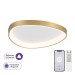 Потолочный светодиодный светильник Citilux Genka Smart CL756A142