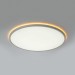 Потолочный светильник Citilux NORMA CL749500