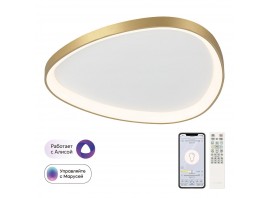 Потолочный светодиодный светильник Citilux Genka Smart CL756A162