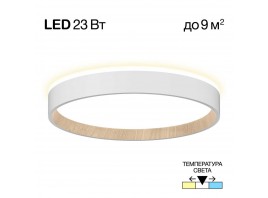Потолочный светодиодный светильник Citilux Etalon CL750240