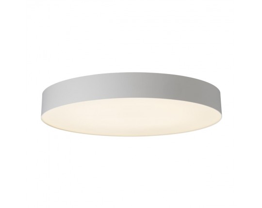 Светильник потолочный Citilux BART CL755490