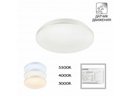 Потолочный светодиодный светильник Citilux Симпла CL71424SV