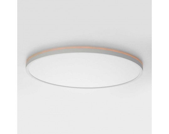 Потолочный светильник Citilux NORMA CL749500