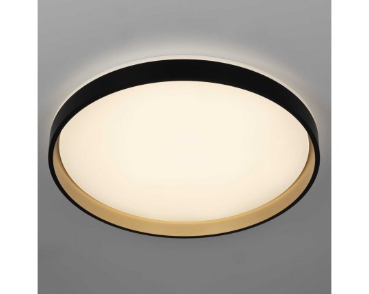 Светильник потолочный Citilux ENZO CL753511G
