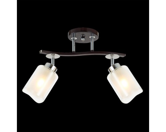 Спот Citilux Фортуна CL156122