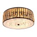 Потолочный светильник Citilux Гермес CL331171