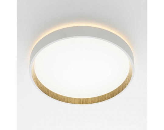 Потолочный светодиодный светильник Citilux Etalon CL750240