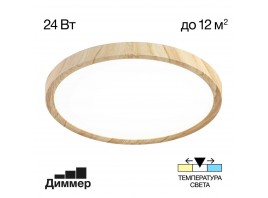 Светильник накладной Citilux Бейсик CL738242V