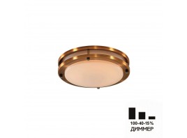 Потолочный светодиодный светильник Citilux Бостон CL709203N
