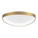 Потолочный светодиодный светильник Citilux Genka Smart CL756A142