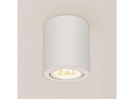 Потолочный светильник Citilux Дюрен CL538111