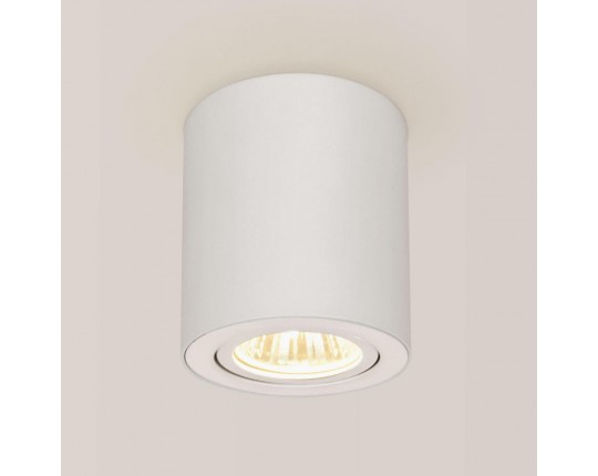 Потолочный светильник Citilux Дюрен CL538111