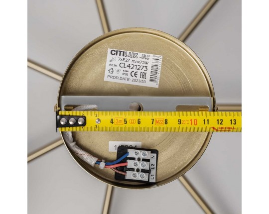 Подвесная люстра Citilux Alton CL421273