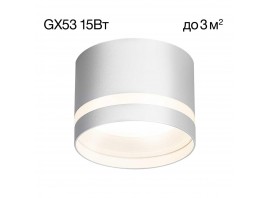 Потолочный светильник Citilux Hardy CL002C10